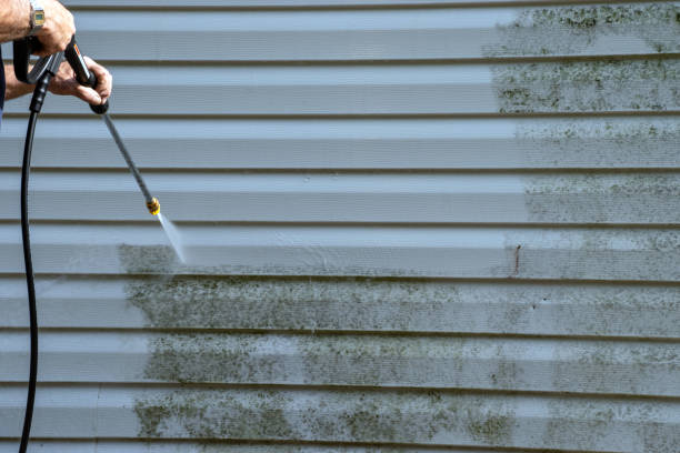 Best Yard Waste Removal  in Aberdeen, IN